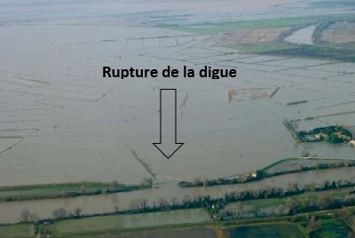 BrecheClaireFarine.jpg