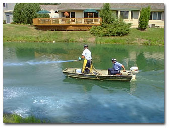 Aquaticplantbook algicide.jpg