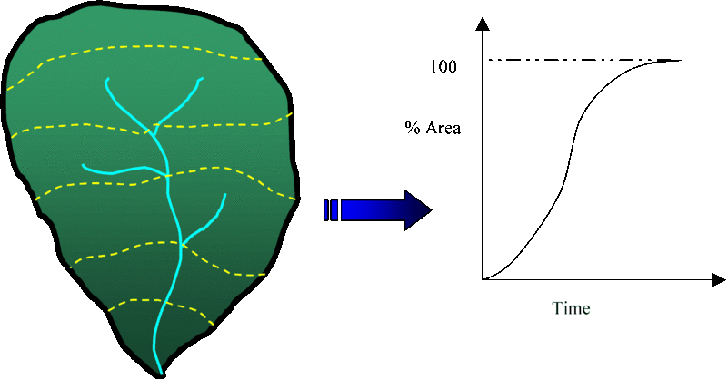 Fichier:1920px-Equaltimeofoutflowlines.gif