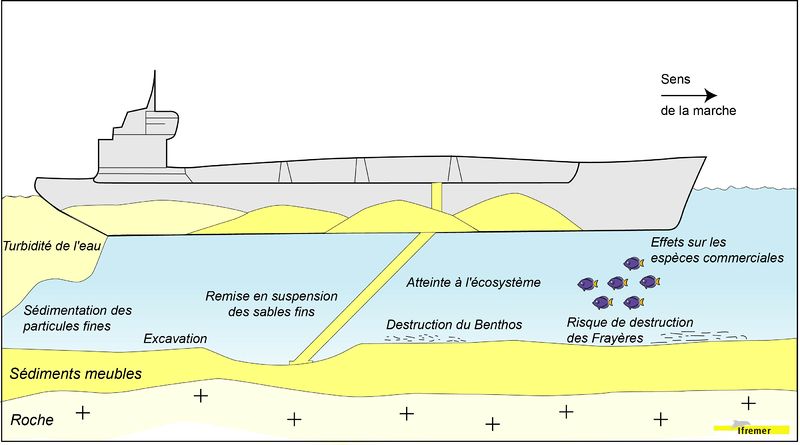 Fichier:Impacts extraction sable.jpg