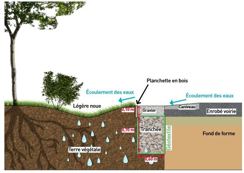 Fichier:Fosse arbre schéma alimentation guide lyon.JPG