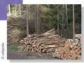 Vignette pour la version du 7 février 2013 à 16:38