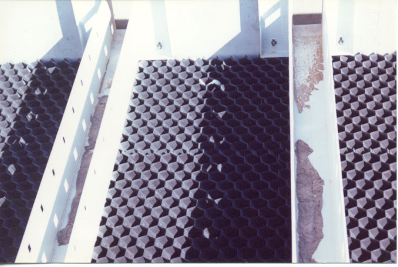 Fichier:Lamellaire - Copie.jpg