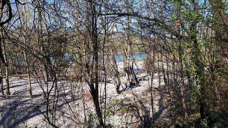 Fichier:Foret alluviale 2.jpg