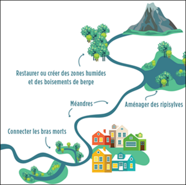 Fichier:Page-SFNBV-Photo1.png