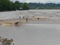 Vignette pour la version du 20 septembre 2013 à 11:03