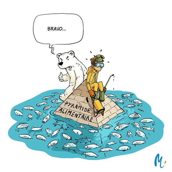 Fichier:IMG jpg 11 pesticides 2-2.jpg