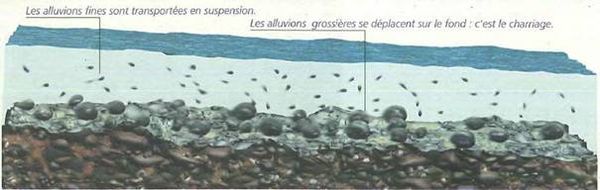 Dessin charriage.jpg