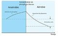 Vignette pour la version du 6 avril 2021 à 18:59