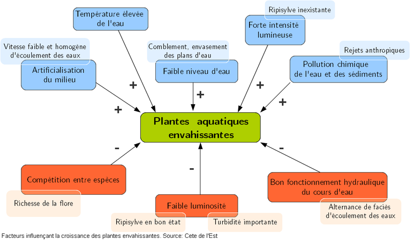 Fichier:Schéma PE.bmp