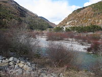IMG 3110.JPG