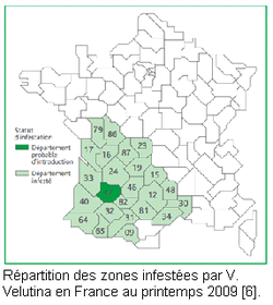 Carte france.bmp