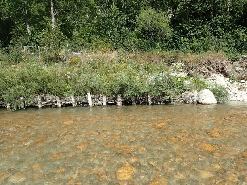 Fichier:Ingenierie ecologique - Photo 1.jpg